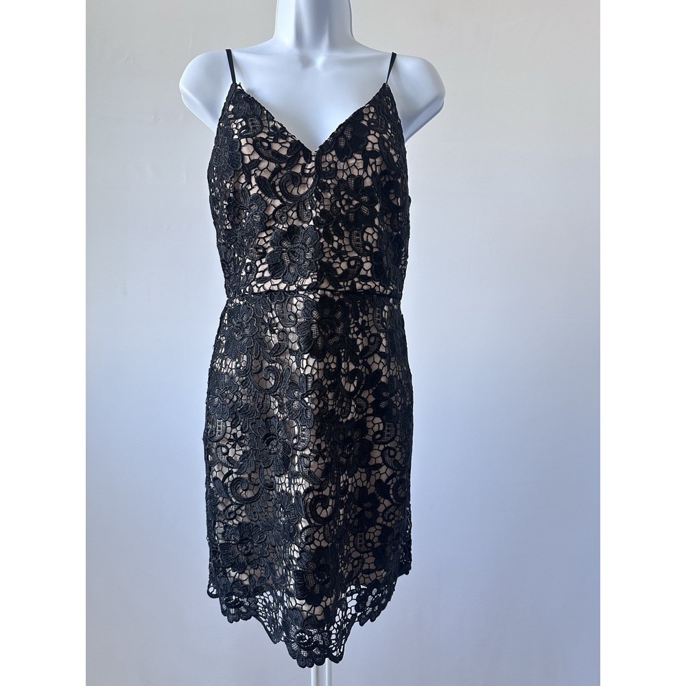 Express Dress Black Guipure Lace Illusion Dress, Sz 6 Sexy Cocktail